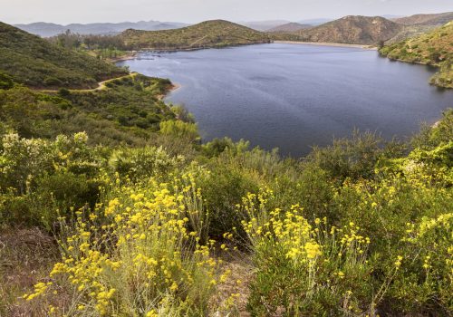 Popular Lake and Recreation Center in east San Diego County as wildflowers are blooming after spring rains